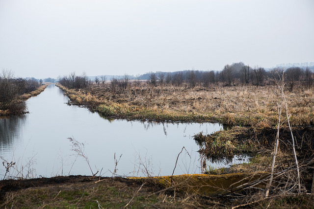 Image credit: Majda Slamova/flickr/all rights reserved