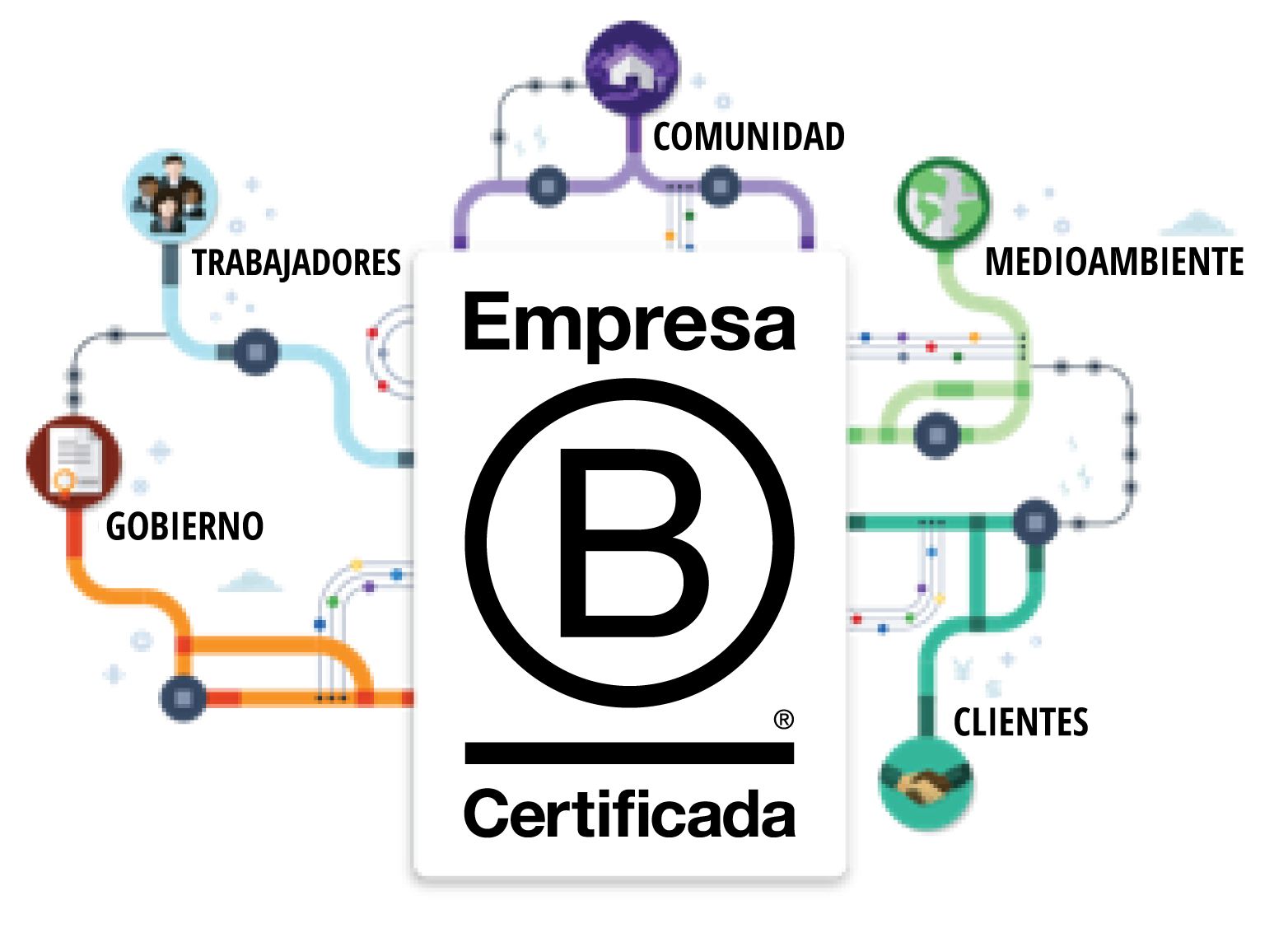 B Corporation