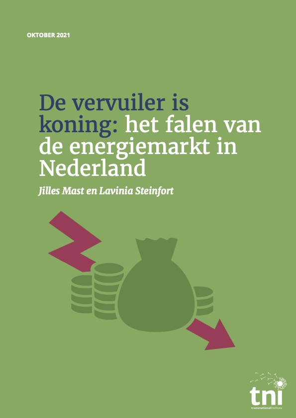 De vervuiler is koning_online