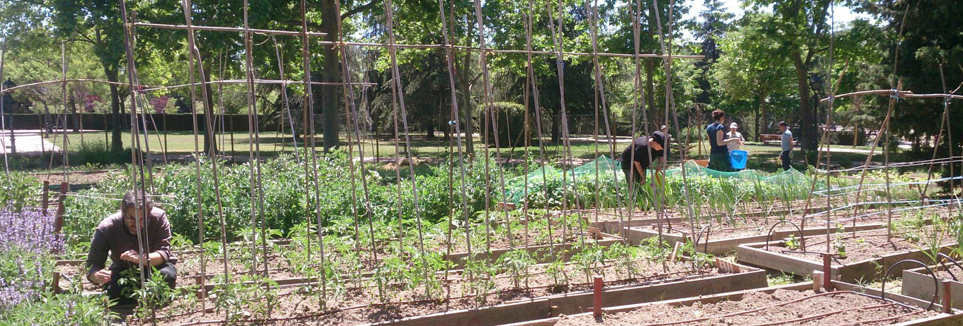 Working in Bombilla community garden