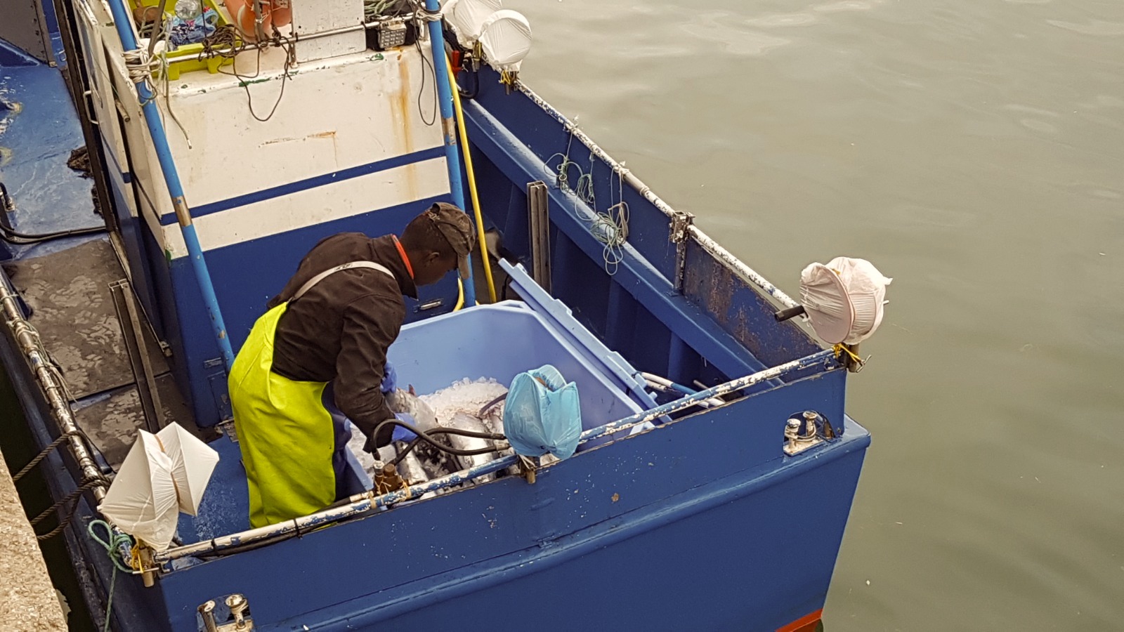 Sicilian fishermen risk prison to rescue migrants: 'No human would turn  away', Italy